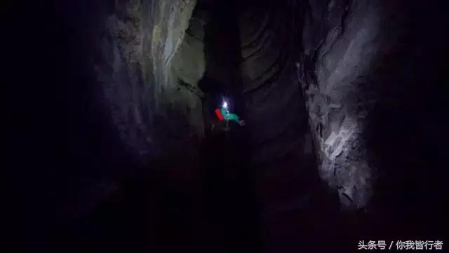 在深达数百米的天坑，大熊猫曾经到此一游