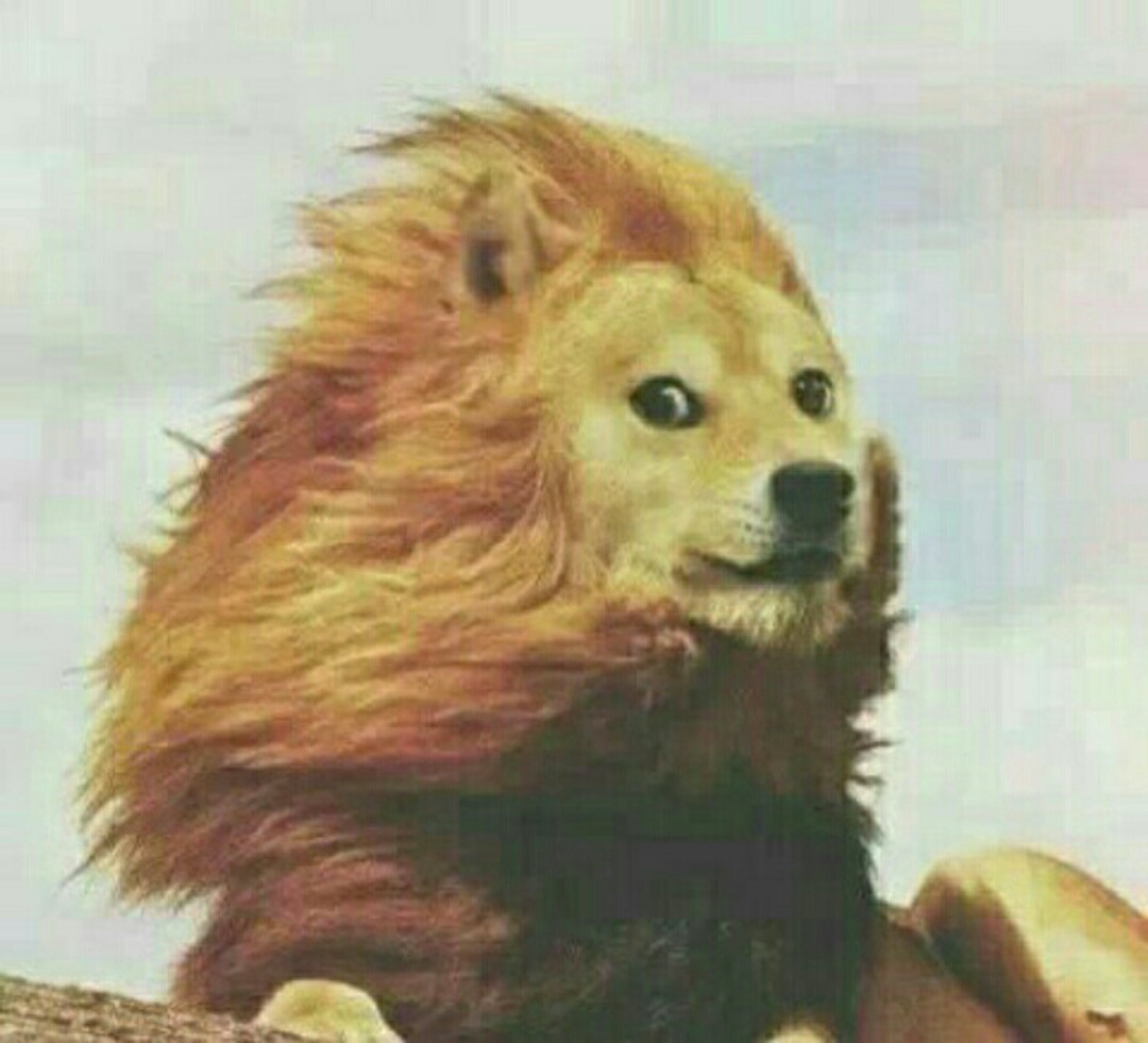 绰号和小名一样吗,你的小名霸气吗