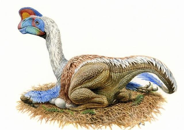 科学家猜测恐龙灭绝的原因是什么,科学家称恐龙还未灭绝