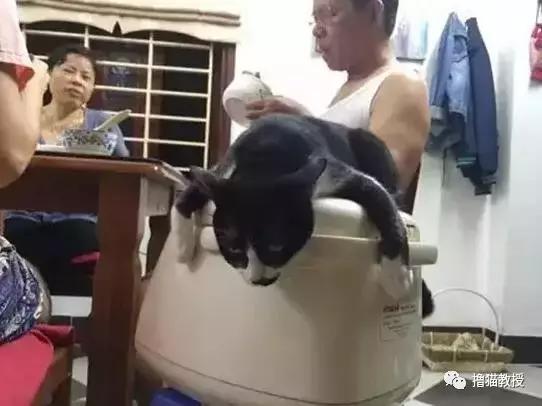 别跟我谈什么梦想我只想躺赢,别跟我谈什么梦想