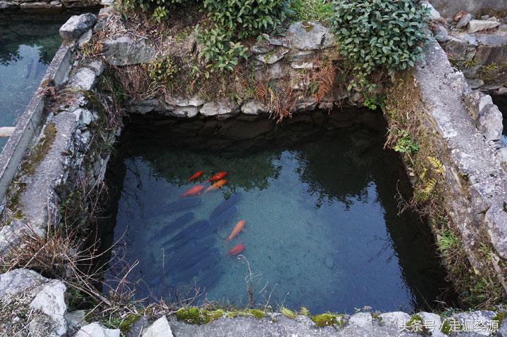 婺源第一名,婺源茶叶第一名