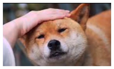 狗发疯咬人如何给他致命一击,养了8年的狗狗突然发狂咬人