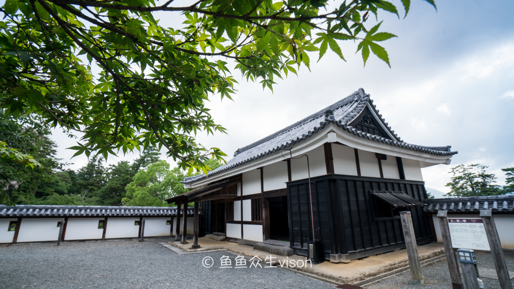日本东京大阪最值得去的地方,日本大阪深度游攻略