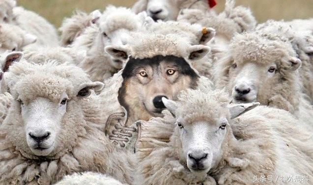 烟雾病脑内出血,烟雾病脑室出血死亡率