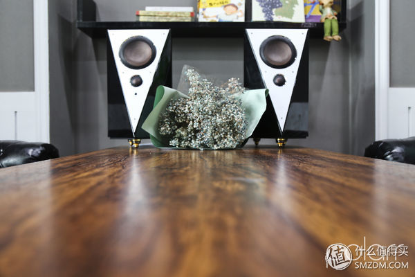 惠威hivim200mkii怎么插话筒,惠威hivim200mkii有源音箱电流音