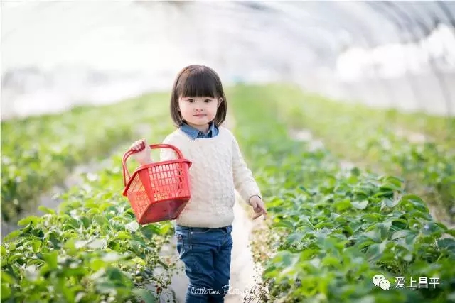 我们是谁原版,我们是谁完整版