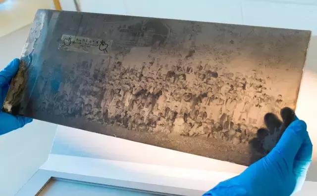 塑料鼻祖竟是自燃之王，“冒充”象牙拯救大象，还烧光了妇女秀发