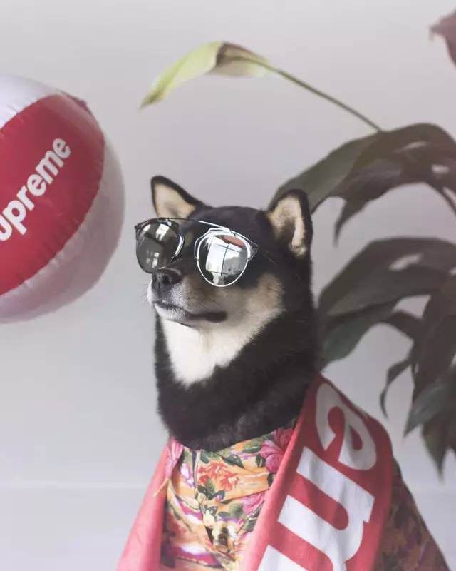 200块钱左右的礼物,200块钱礼物