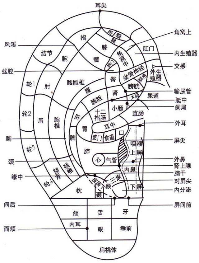 抽动症一分钟眨眼次数,孩子老是眨眼说是抽动症