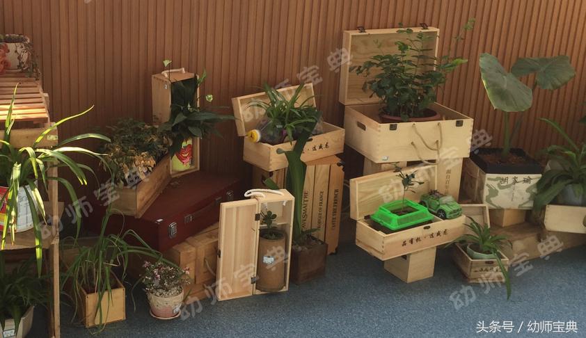 自然角创设分布图,自然角布置幼儿园