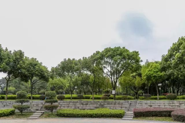 迈皋桥景观改造,迈皋桥老街换新颜