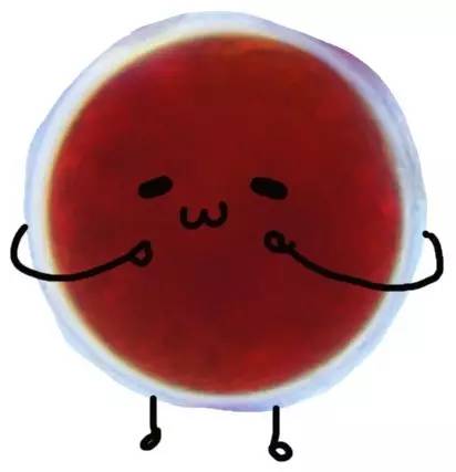 贵宾推荐什么狗粮,比较好的贵宾狗粮