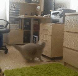 别跟我谈什么梦想我只想躺赢,别跟我谈什么梦想