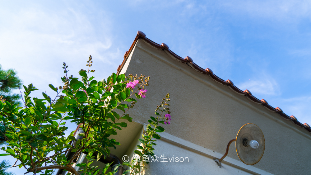 这里是日本,日本旅游柯南故乡