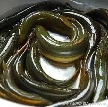 8月水产品价格表,7月水产品批发市场价格简报