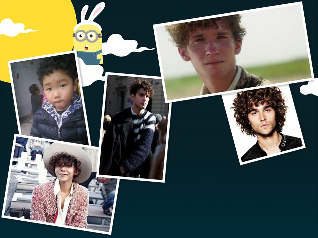 鍙埍娲绘臣鐨勫皬鍗锋瘺,杞悓鍙埍鍗锋瘺