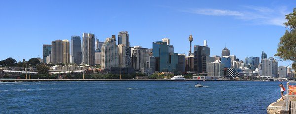 澳大利亚鲍鱼新西兰鲍鱼,澳大利亚顶级鲍鱼