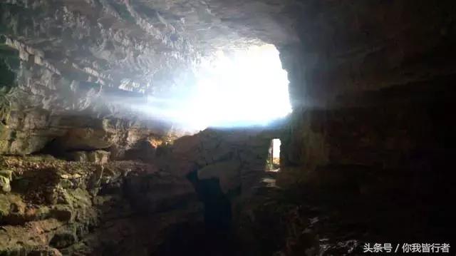 在深达数百米的天坑，大熊猫曾经到此一游