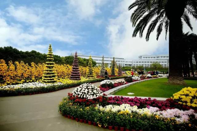 宝山要开挂了！如果五年后你还在宝山，将面对的竟是这些……