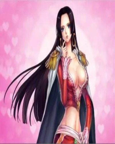 海贼王官方认证的三大美女,海贼王三大顶级女神