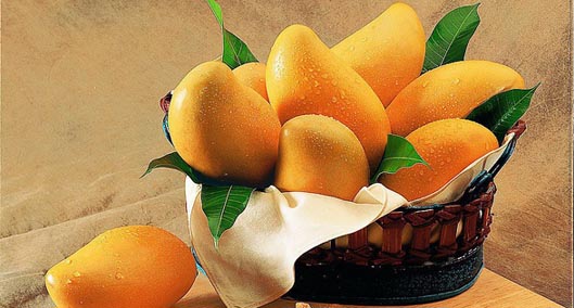 吐血编辑，三亚所有吃的都在这儿了，不吃也来瞧一瞧啦。