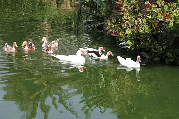 亚龙湾红树林酒店室内玩乐,亚龙湾红树林酒店潜水体验