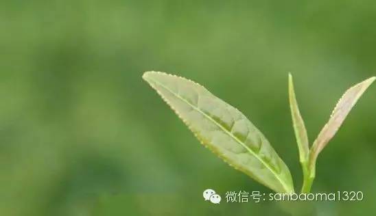 细菌感染孩子没有食欲,儿童流感病毒感染科普