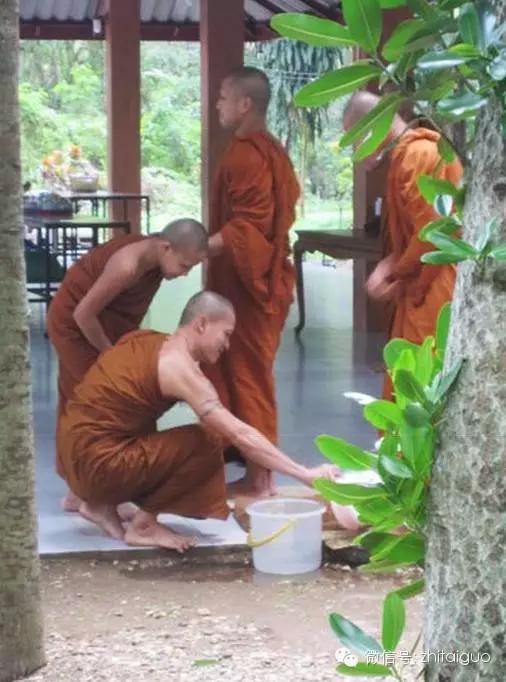 泰国传统佛教习俗为僧侣洗脚是一种积德！