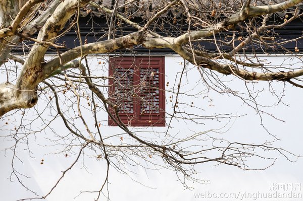 牵着小手去旅行,牵着小手去旅游