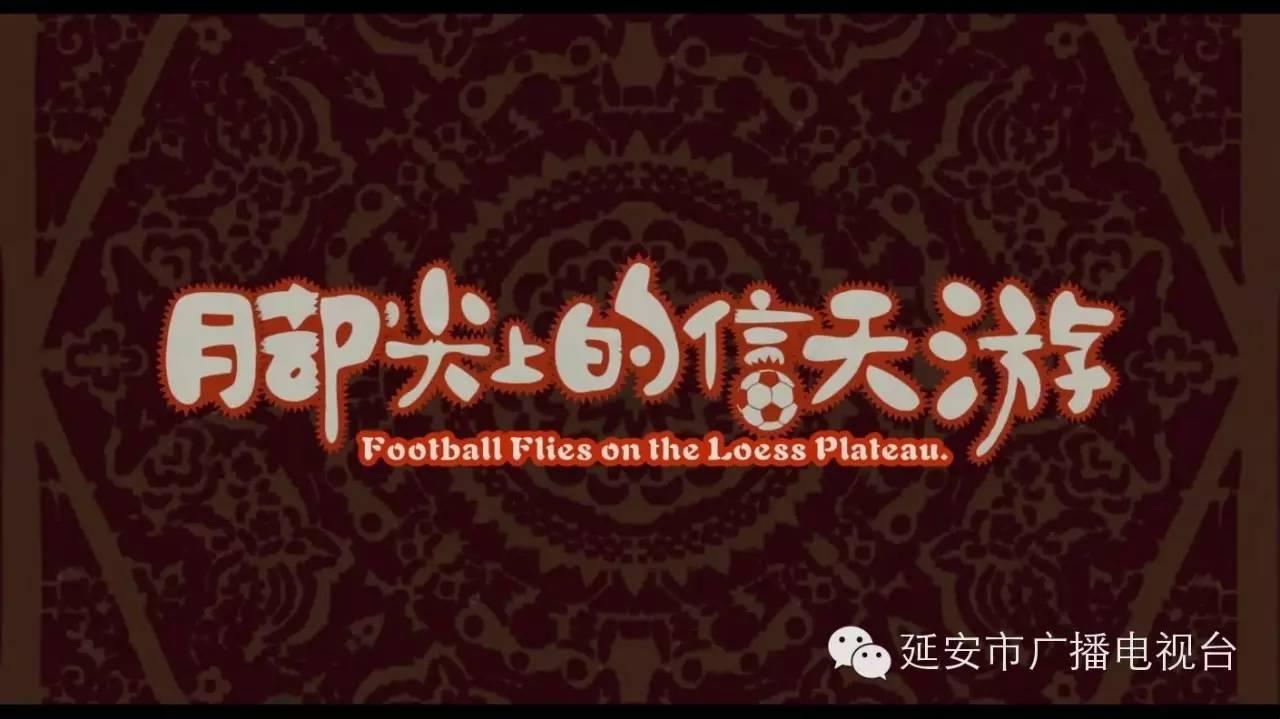 足球少年梦电影,少年足球梦在线观看