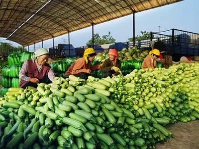娲涢槼鐢熸椿鏀荤暐,娲涢槼鏈湴鐢熸椿鎸囧崡