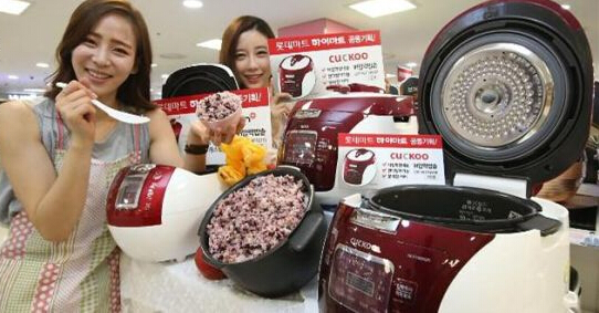 小米米家智能电饭煲c1家用,米家和小米的智能电饭煲哪个好