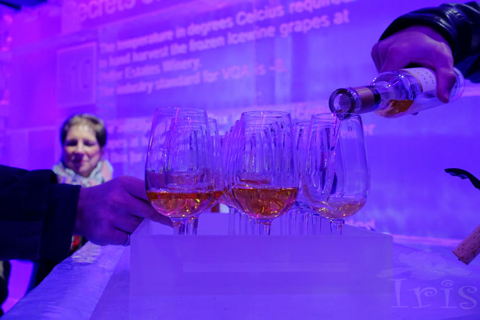 尼亚加拉珍稀冰酒,尼亚加拉冰酒