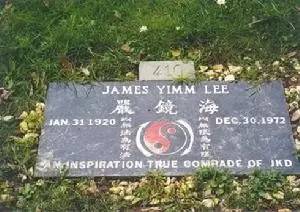 李小龙咏春拳绝技,李小龙学咏春拳的过程