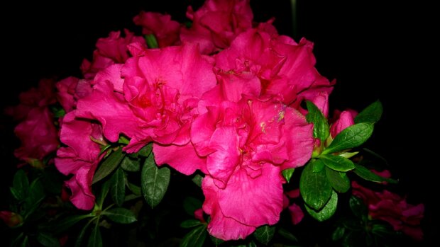 努比亚z9mini体验评测,努比亚z9测评