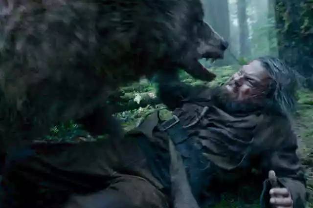 小李子被奥斯卡提名电影合集,盘点小李被奥斯卡提名的几部电影