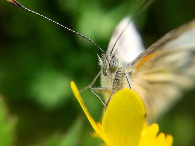 CMPA|2016年3月7日编辑推荐作品