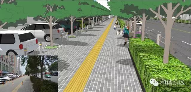 东区绿道,东部新区绿道