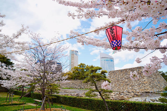 到底哪里才是12星座最不可辜负的樱花祭（上）