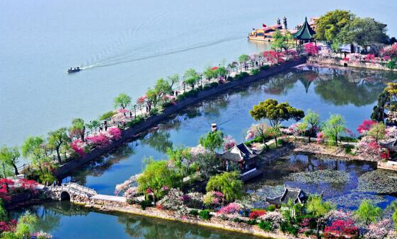 龙猫欢乐世界,龙猫的世界地址