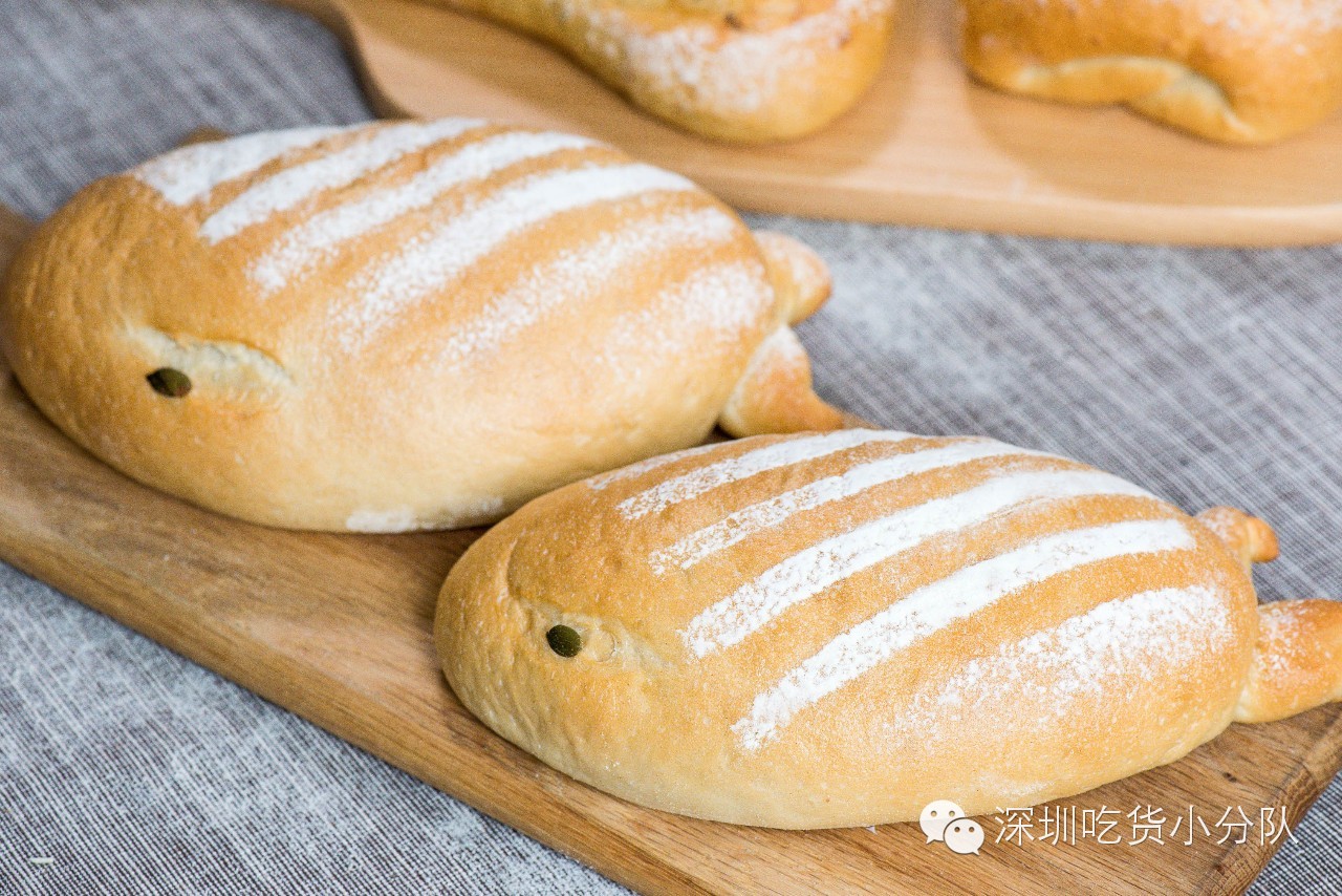 奶酪包如何火的,奶酪包是怎么火的