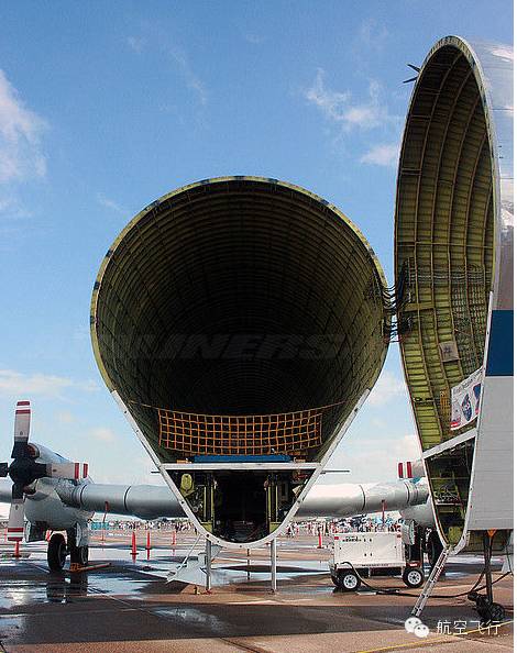 变异变形飞机,变异飞机鹦鹉