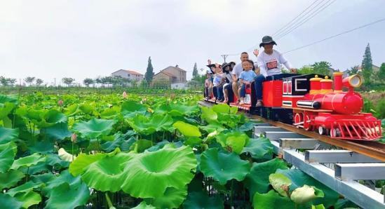 civic车主发视频,civic车主