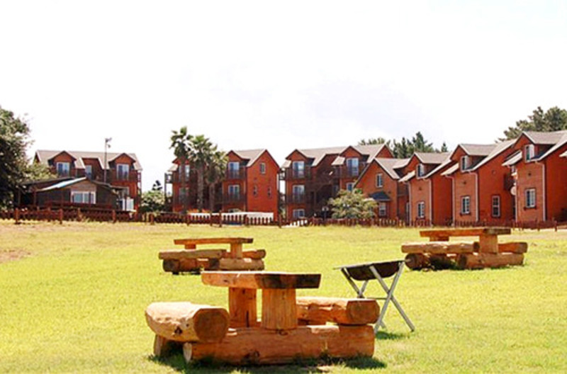 济州岛海景酒店推荐,济州岛十大度假酒店