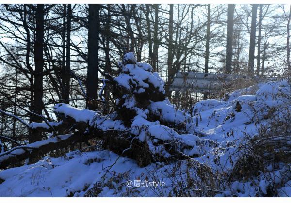 牧马少年歌曲完整版,牧马少年草原