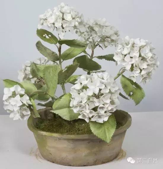 乌克兰大叔和他美到令人窒息的陶瓷永生花