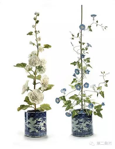 乌克兰大叔和他美到令人窒息的陶瓷永生花