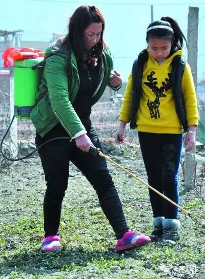 新闻资讯我县春耕春播热火朝天,春耕忙新闻