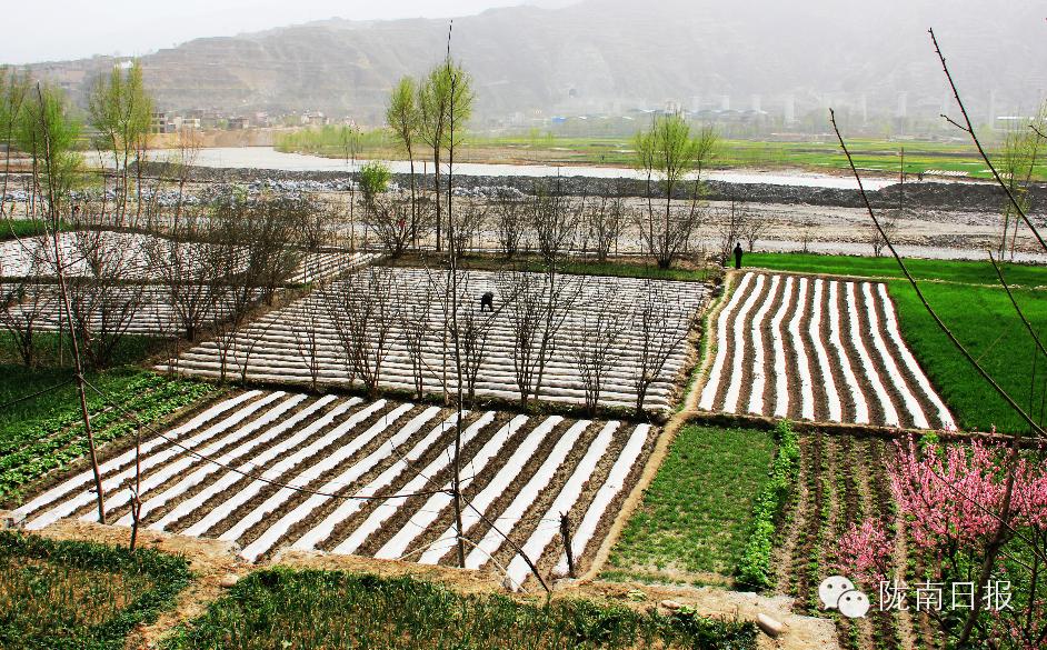 新闻资讯我县春耕春播热火朝天,春耕忙新闻