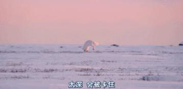 豆瓣9.7的冷门好片，送给每个热爱生命的人